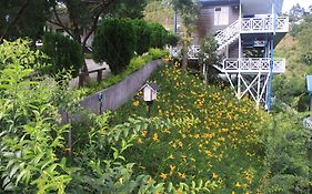 Kinabalu Pine Resort